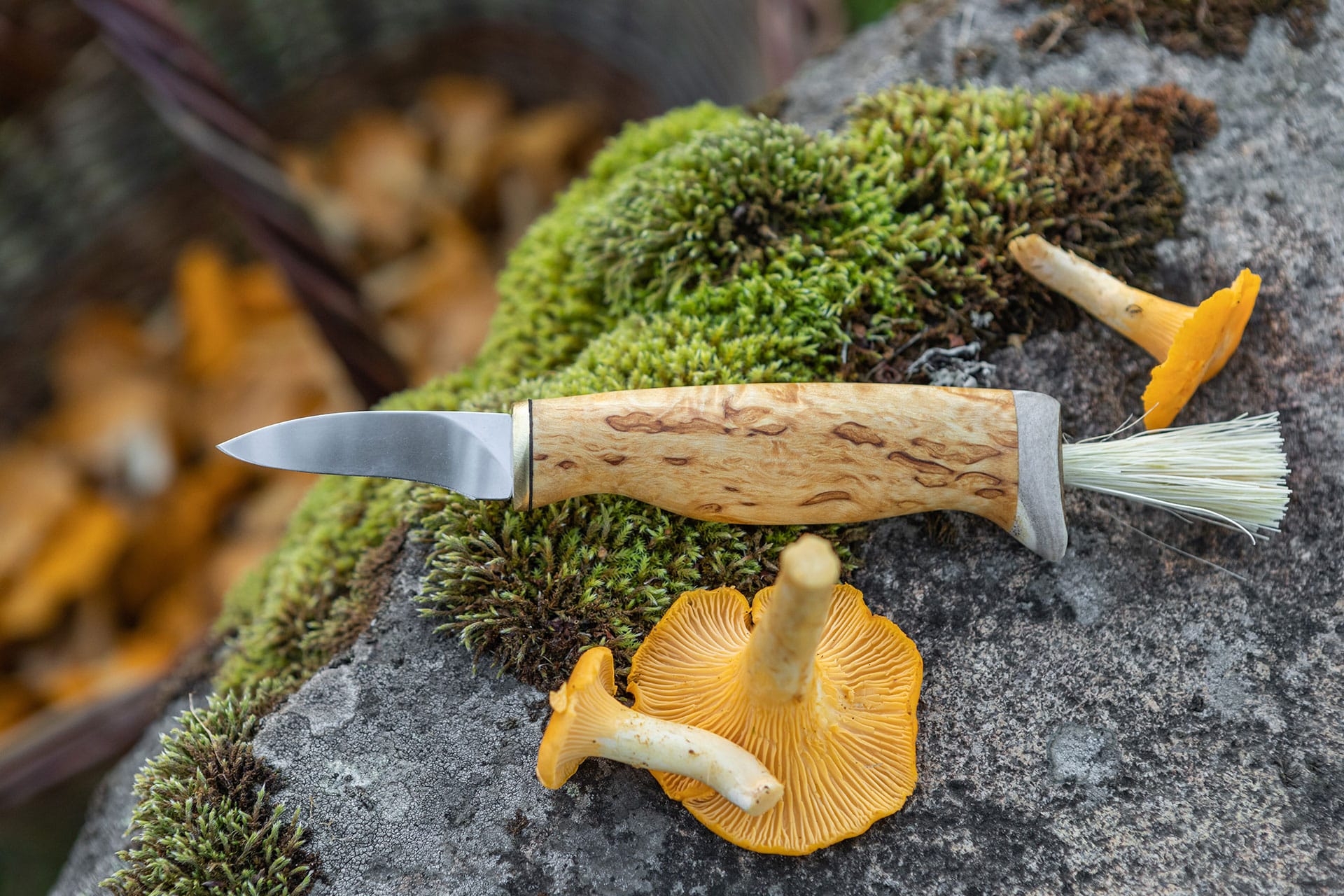 Arctic Legend Mushroom Knife coltello funghi nero