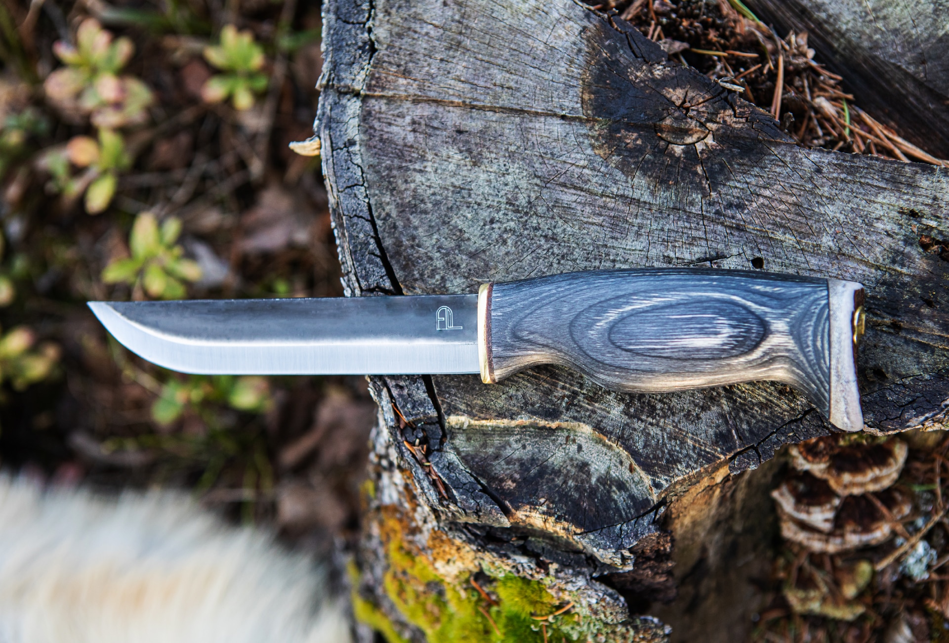 Arctic Legend Leuku Bear Knife coltello outdoor inox