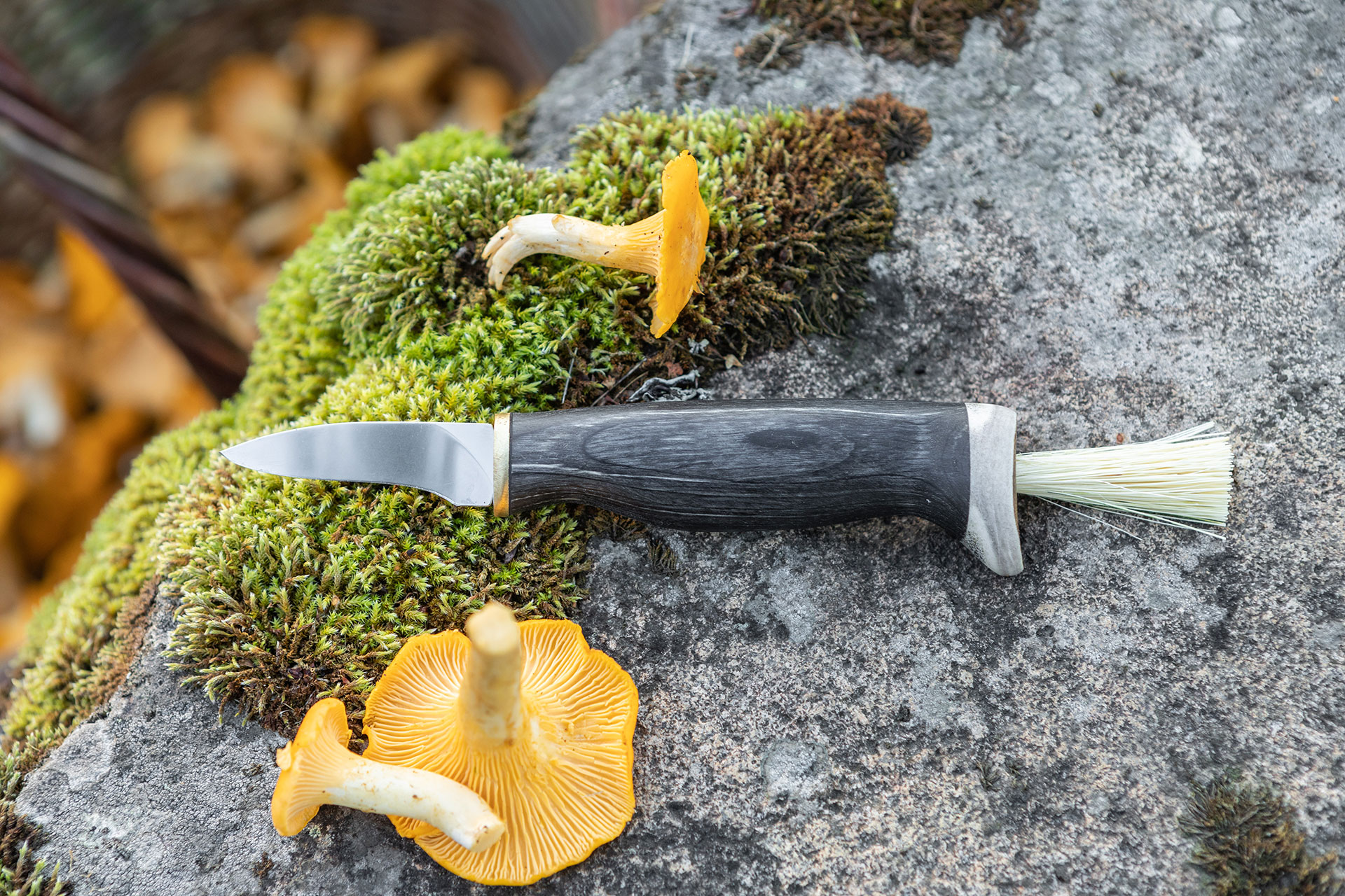 Arctic Legend Mushroom Knife coltello funghi nero