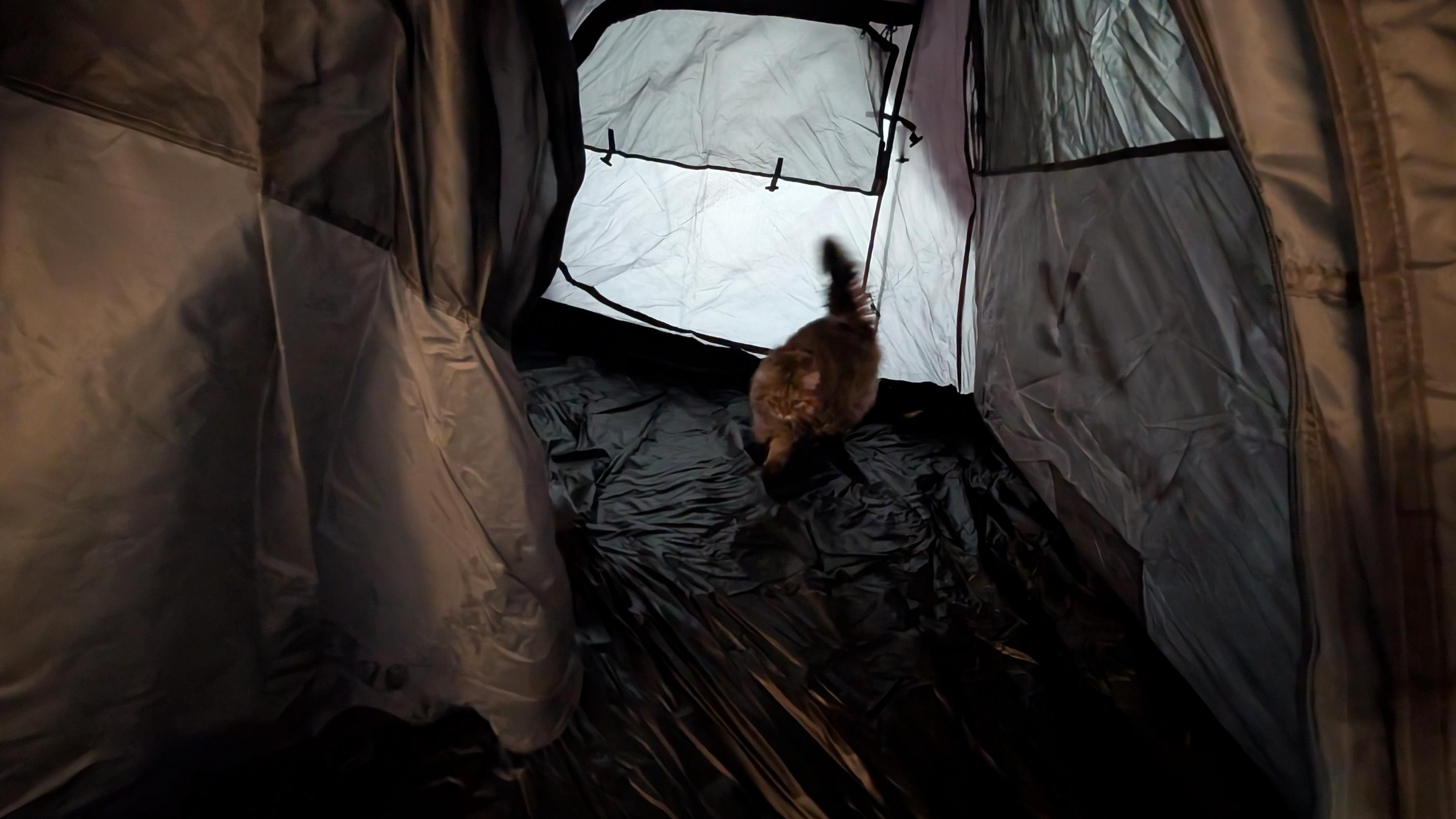 Nordmut Tikaa Wurfzelt tenda pop-up blu