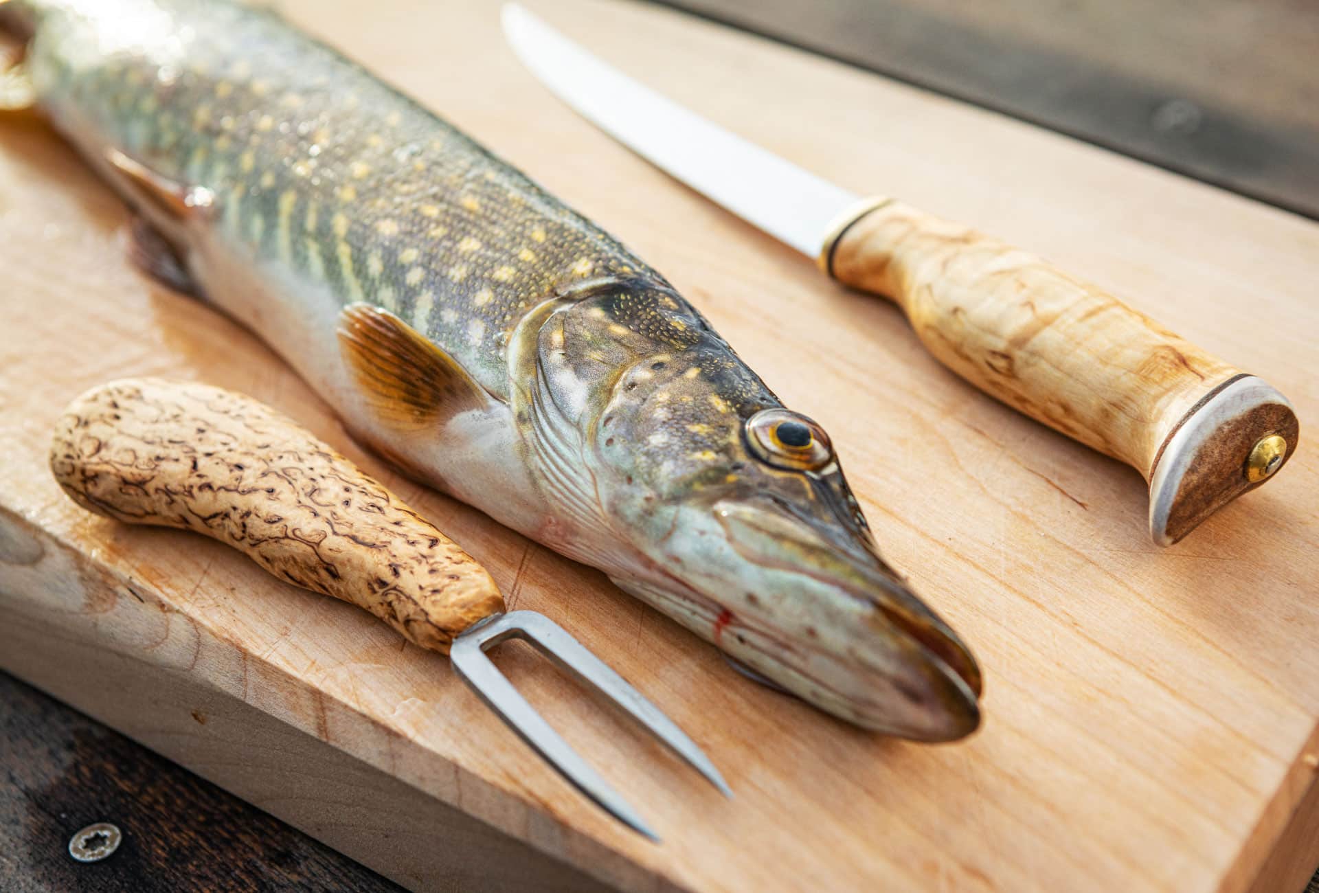 Arctic Legend Fillet coltello pesce 16 cm betulla
