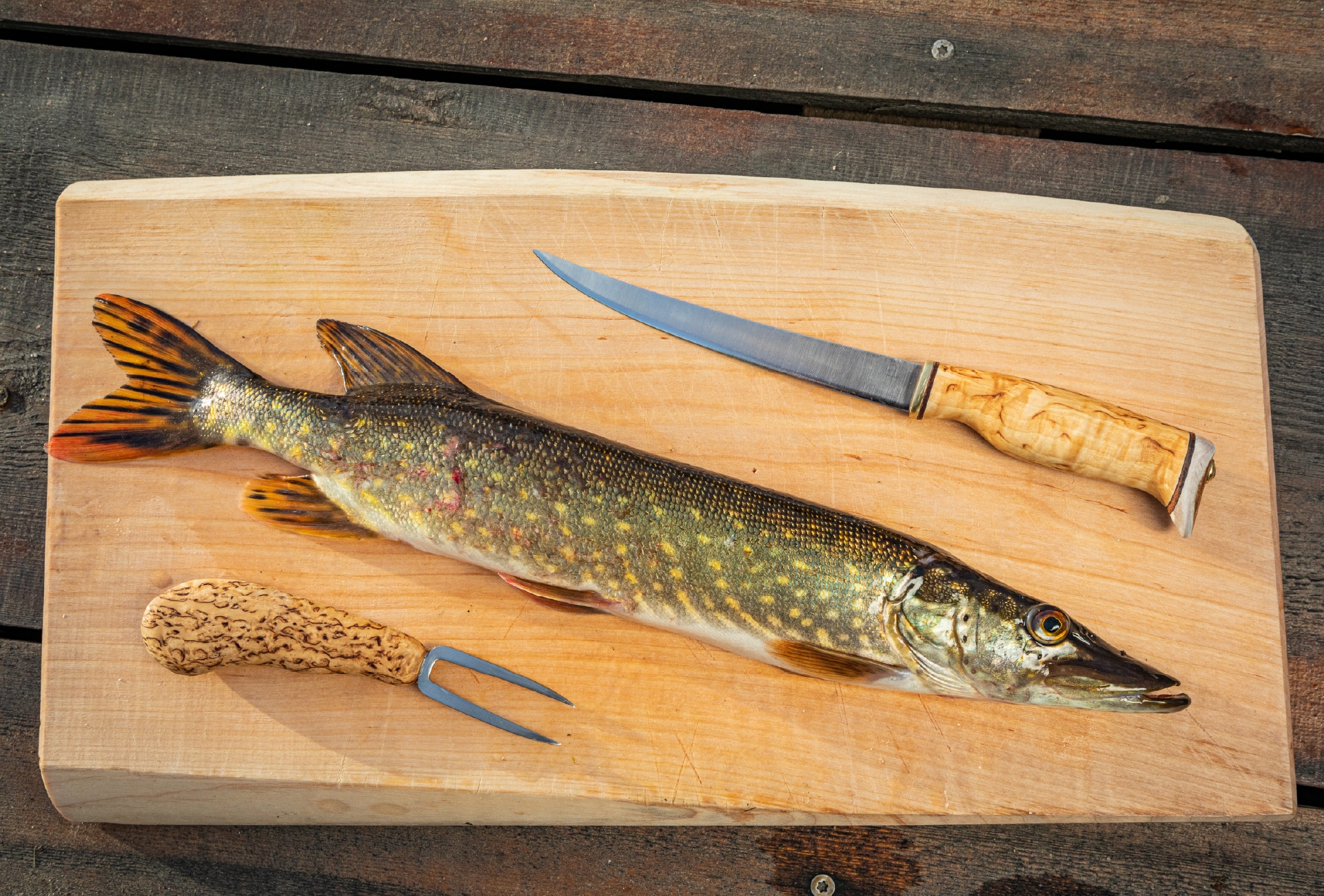 Arctic Legend Fillet coltello pesce 16 cm betulla