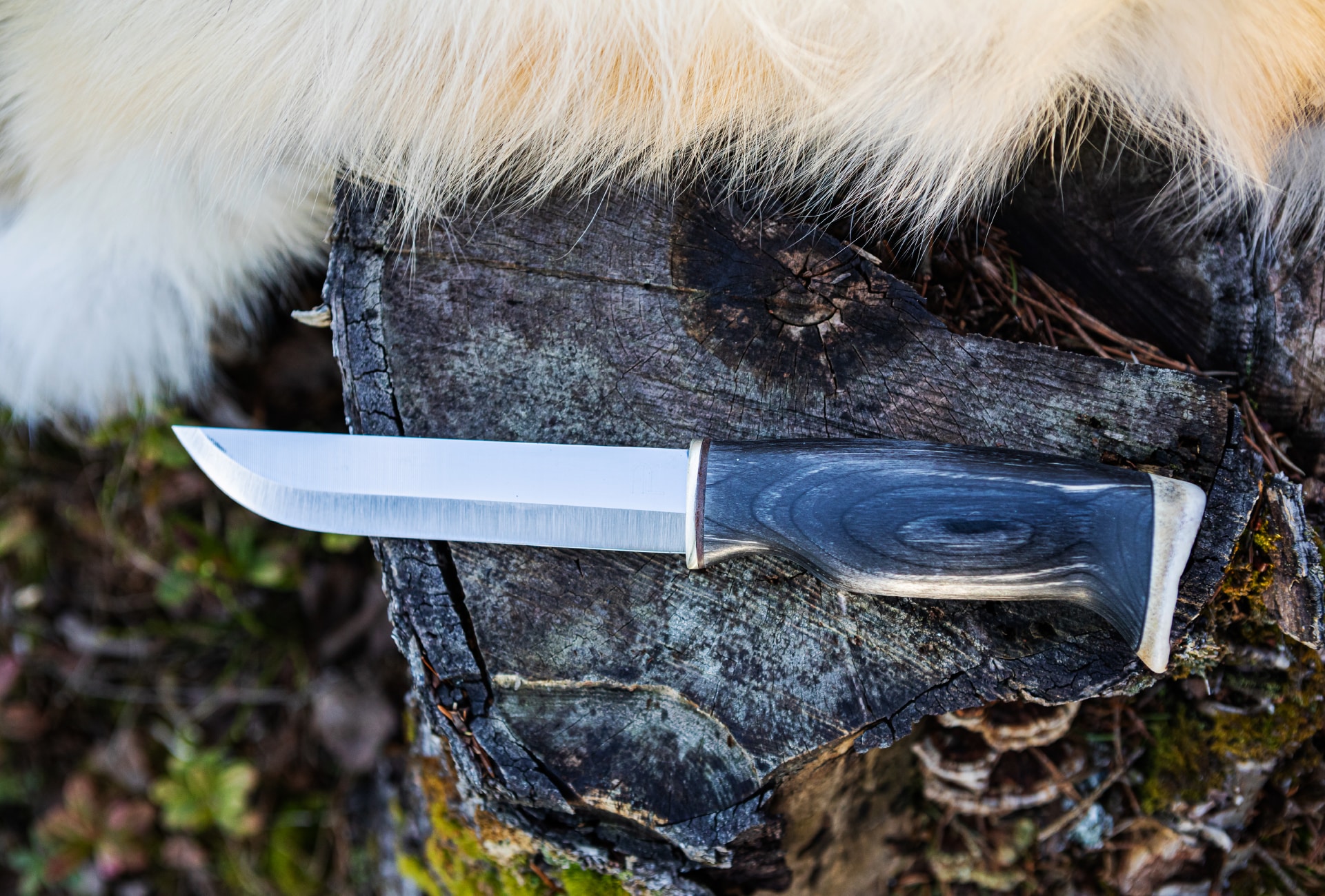 Arctic Legend Leuku Bear Knife coltello outdoor inox