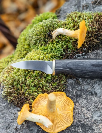 Arctic Legend Mushroom Knife coltello funghi nero