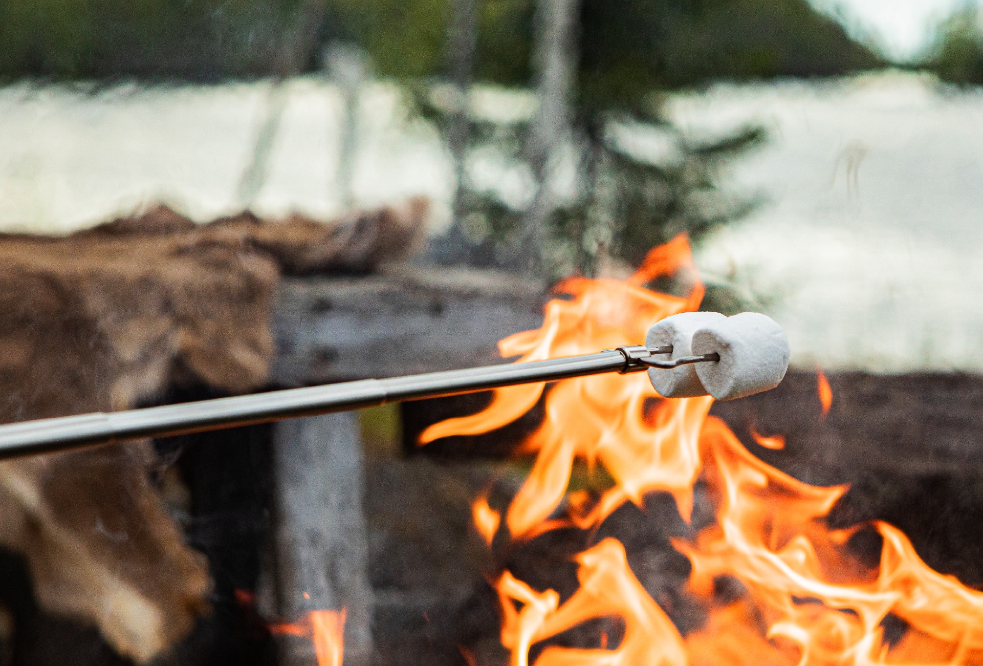 Arctic Legend BBQ Stick spiedo barbecue 80 cm betulla