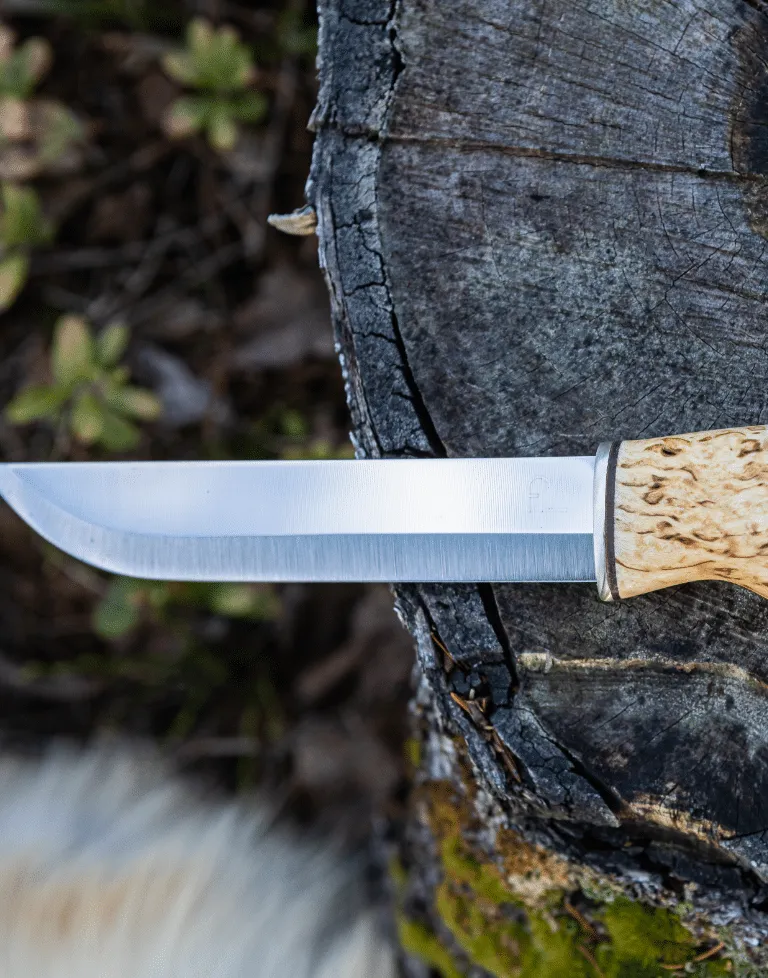 Arctic Legend Leuku Bear Knife coltello outdoor inox