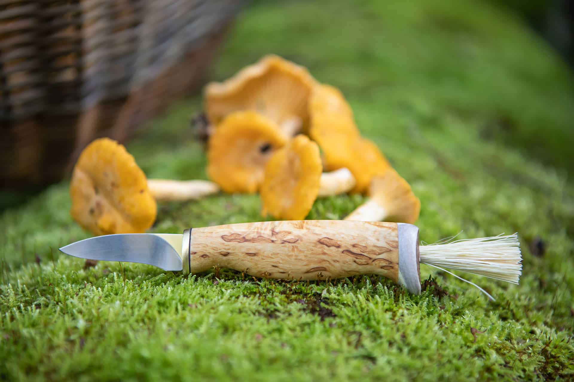 Arctic Legend Mushroom Knife coltello funghi nero